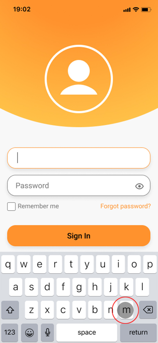 screen to sign in